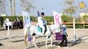 Open Day & Horse-Riding competition at Pegasus Equestrian Center Dreamland